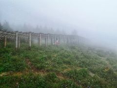 -白草畔自然风景区