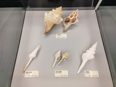 -天津古林古海岸遗迹博物馆