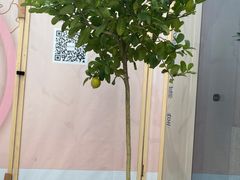 -混果汁(前海嘉里中心店)