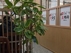 -旺清进洞米肠汤