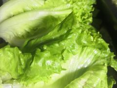 -桃源山庄·水蜜桃采摘·柴火鸡·烧烤团建(龙泉山店)
