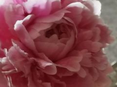 -Cooking Man(中懋天地店)