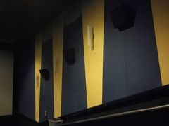 -AMG海上明珠影城(上海环球港RealDCinema店)