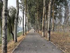 -东郊湿地公园