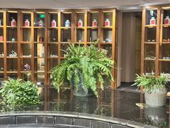-青藤茶馆(凤起路店)