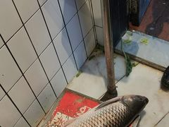 -淘米捞·米汤脆鲩鱼火锅(福田皇岗店)