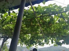 -重庆海昌加勒比海水世界