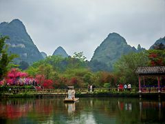 -靖西鹅泉风景区