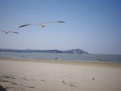 -蓬莱阁景区