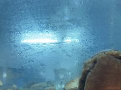 -阳光码头海鲜火锅(世纪大道店)