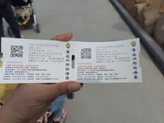 -南通洲际绿博园