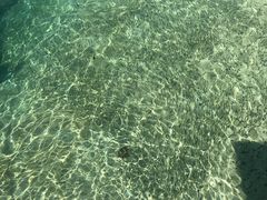 -东姑阿都拉曼海洋公园