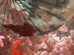 -九田家黑牛烤肉料理(华侨城店)