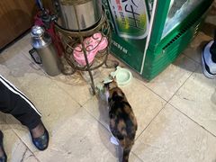 -洪齐林老镇