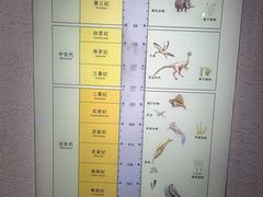 -烟台市博物馆