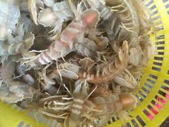 -浪琴湾尾角仔海鲜坊