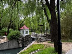 -皇家御河游(紫御湾码头)