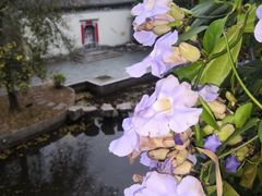 -深圳国际园林花卉博览园