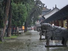-洛阳宴·洛阳菜(南昌路店)