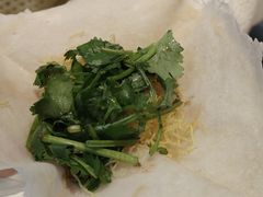 -丁老爷子苏香圆