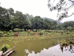 -陈记粤湛鸡饭店