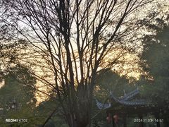 -乌山风景区
