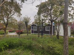 -春花秋色城市公园