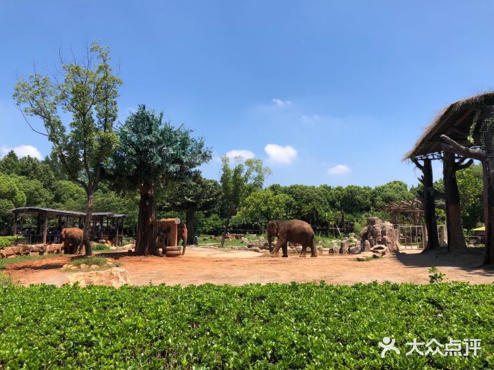 上海野生動物園-圖片-上海周邊遊-大眾點評網