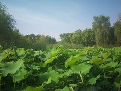 -南通博物苑-崇川人民公园