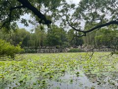 -莲池书院博物馆