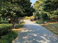 -月湖风景区