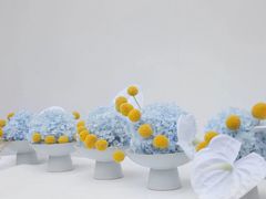 -荷兰布尔玛国际花艺学院