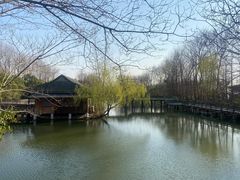 -溱湖国家湿地公园