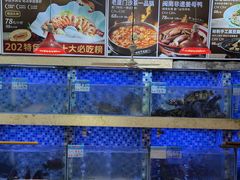-202特色排档(五缘湾店)
