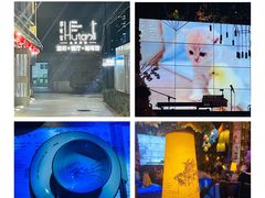 -胡桃里音乐酒馆(四道口店)