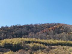 -塞罕坝国家级自然保护区