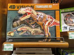 -国家自然博物馆