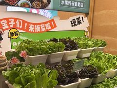 -九孔·筒骨莲藕汤锅(大明宫万达店)
