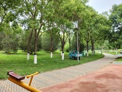 -大兴滨河森林公园