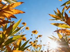 -西安市长乐公园