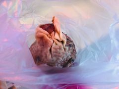 -白玉兰食品(汇联商厦店)