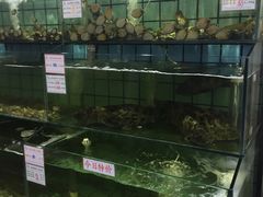 水产区-海岛渔村大酒店(云霄路店)