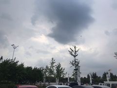 -丁香湖公园