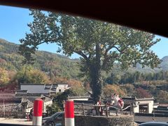 -塔川景区
