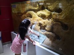 -上海昆虫博物馆