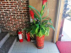 -129老爸茶丨清补凉