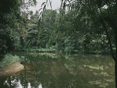 -象山森林公园