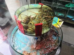 -强记海鲜·大排档(蛇口新街店)