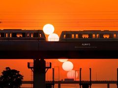 -宝安西湾红树林湿地公园