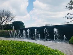 -新世界百货(明洞总店)